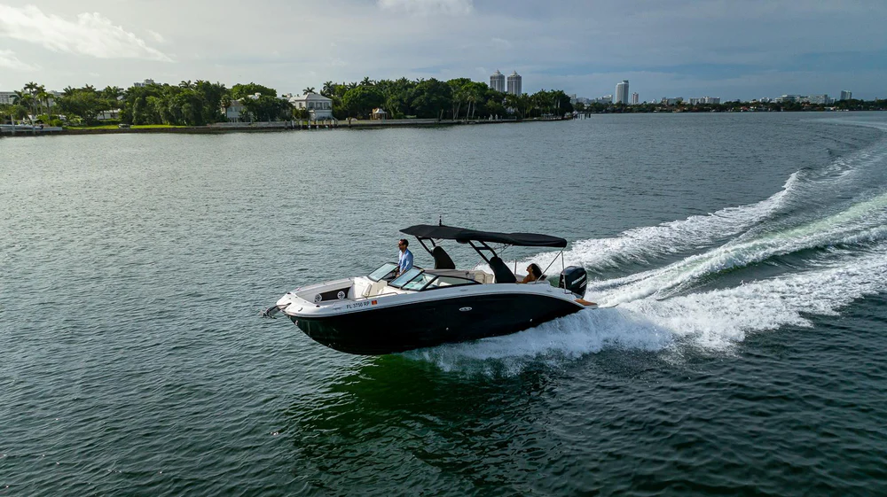 Sea Ray 29 ft.