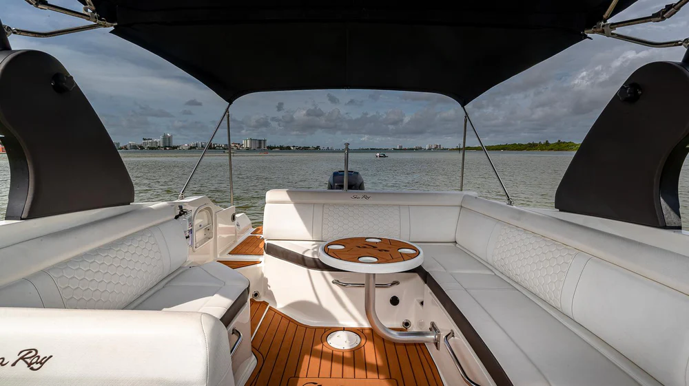 Sea Ray 29 ft.